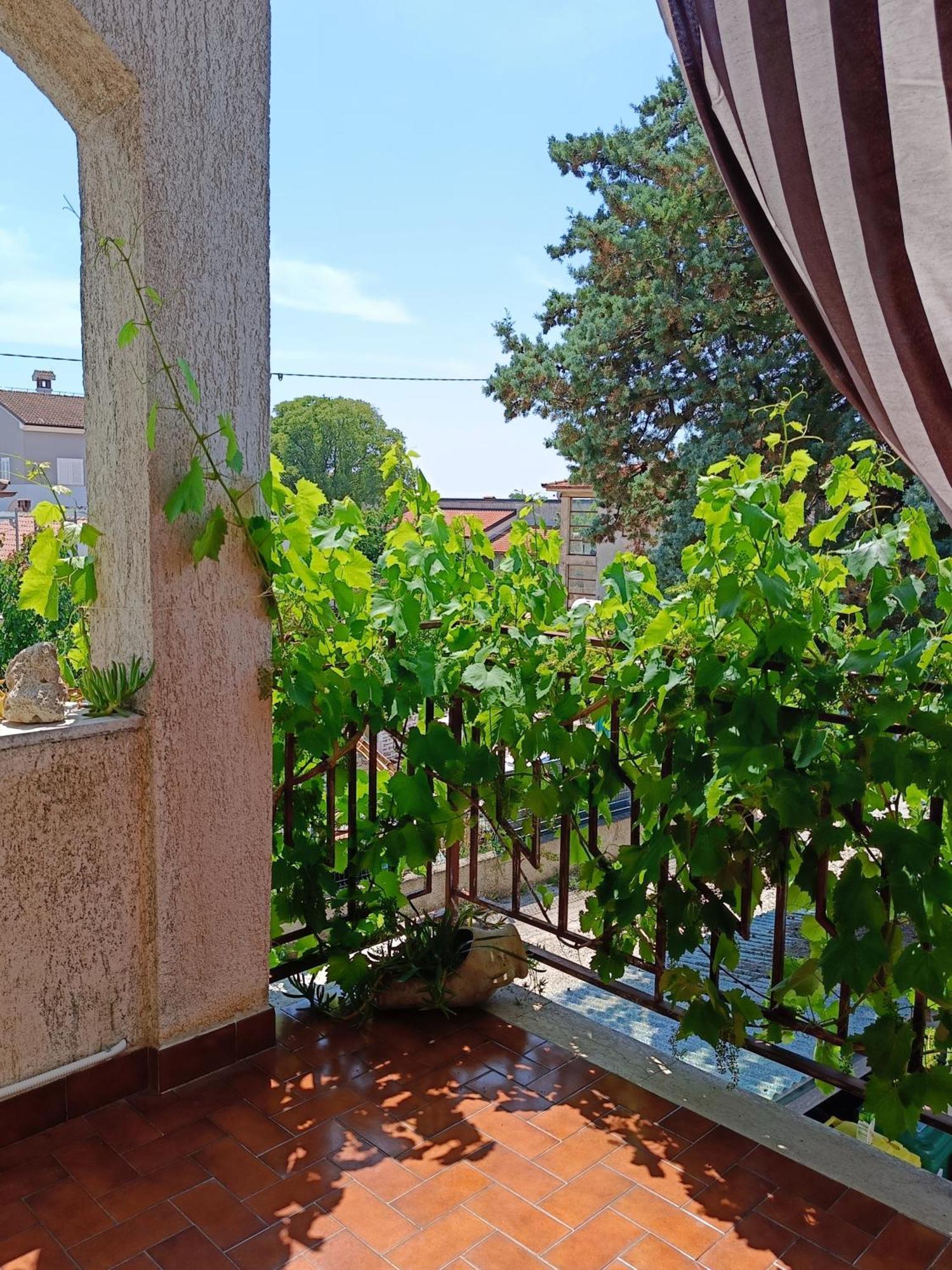 Apartments Villa Laura Pula Exterior photo